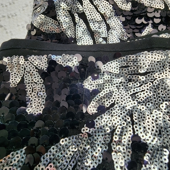 Walter Baker Luella Sequin Fantasy Dress Size 10 - Picture 15 of 16